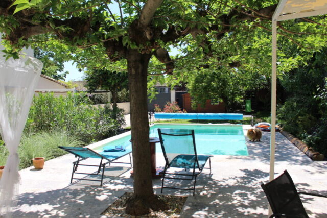 Piscine extérieure du Mas du Camisard avec transats à l’ombre des arbres, cadre paisible et rafraîchissant dans le sud de la France